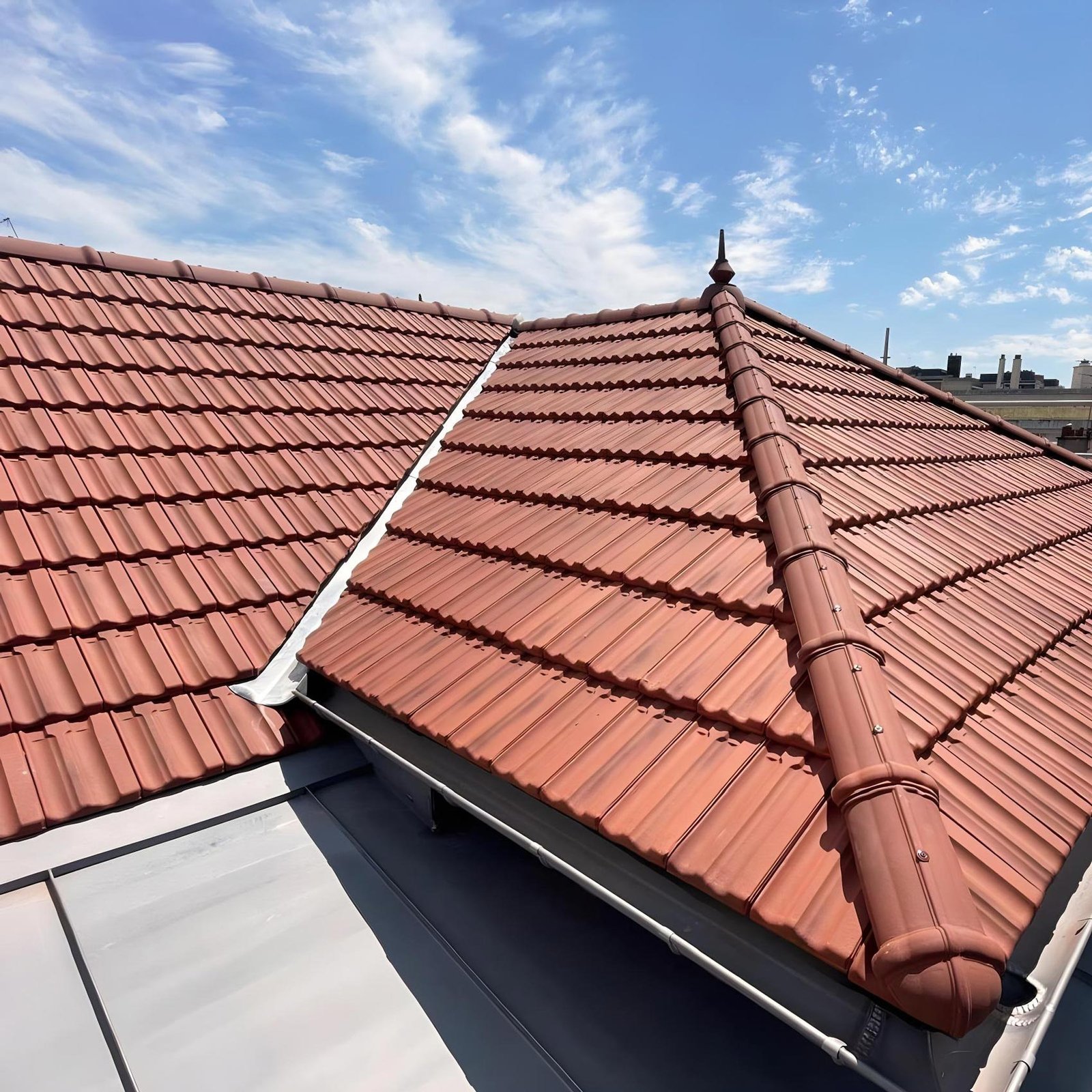 Giagnoni Entreprise De Couverture 91